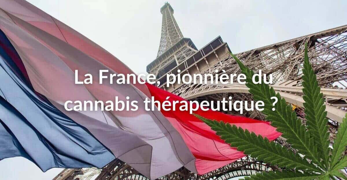 Le CBD pourrait-il être une lueur d'espoir pour les patients atteints d'Alzheimer ?